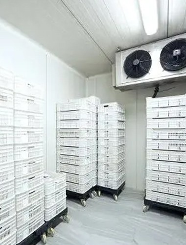 速冻库