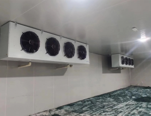 湖南郴州国药器械1200m³冷库工程概况