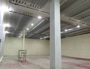 湖南省邵阳市多福商贸5900m³冰淇淋冷冻库工程概况