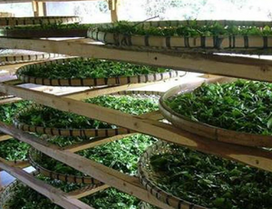 湖南省湘西保靖家庭农场650m³气调库工程概况