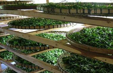 湖南省湘西保靖家庭农场650m³气调库工程概况