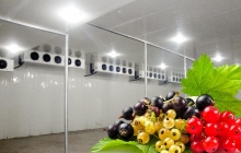 哪些制冷技术对冷库发展起重要作用？