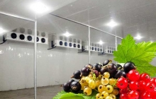 食品冷库验收标准与食品安 全合规要点