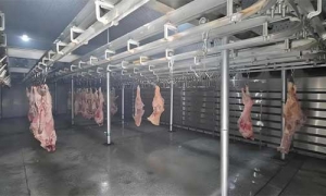 屠宰场排酸速冻冷库设计的五大核心法则！