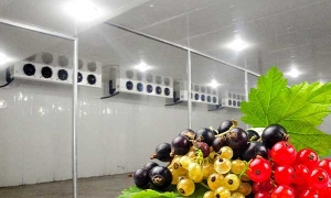 食品冷库验收标准与食品安 全合规要点