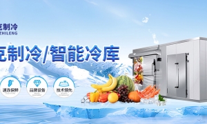 制冷系统干燥过滤器的作用、分类、使用